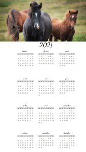 Calendriers annuels sur le thème des chevaux